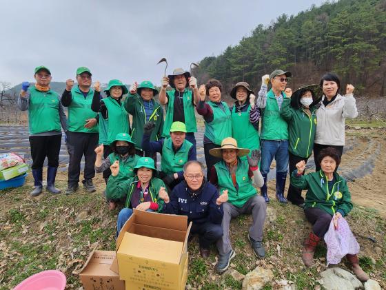 2025년 새마을지도자회, 부녀회 사랑의 감자심기 행사 이미지