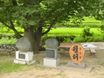 월전마을비 이미지