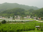 월전리 전경 이미지
